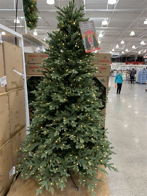Deck the Halls with Costco's Affordable Christmas Trees: Find Your Perfect Holiday Centerpiece